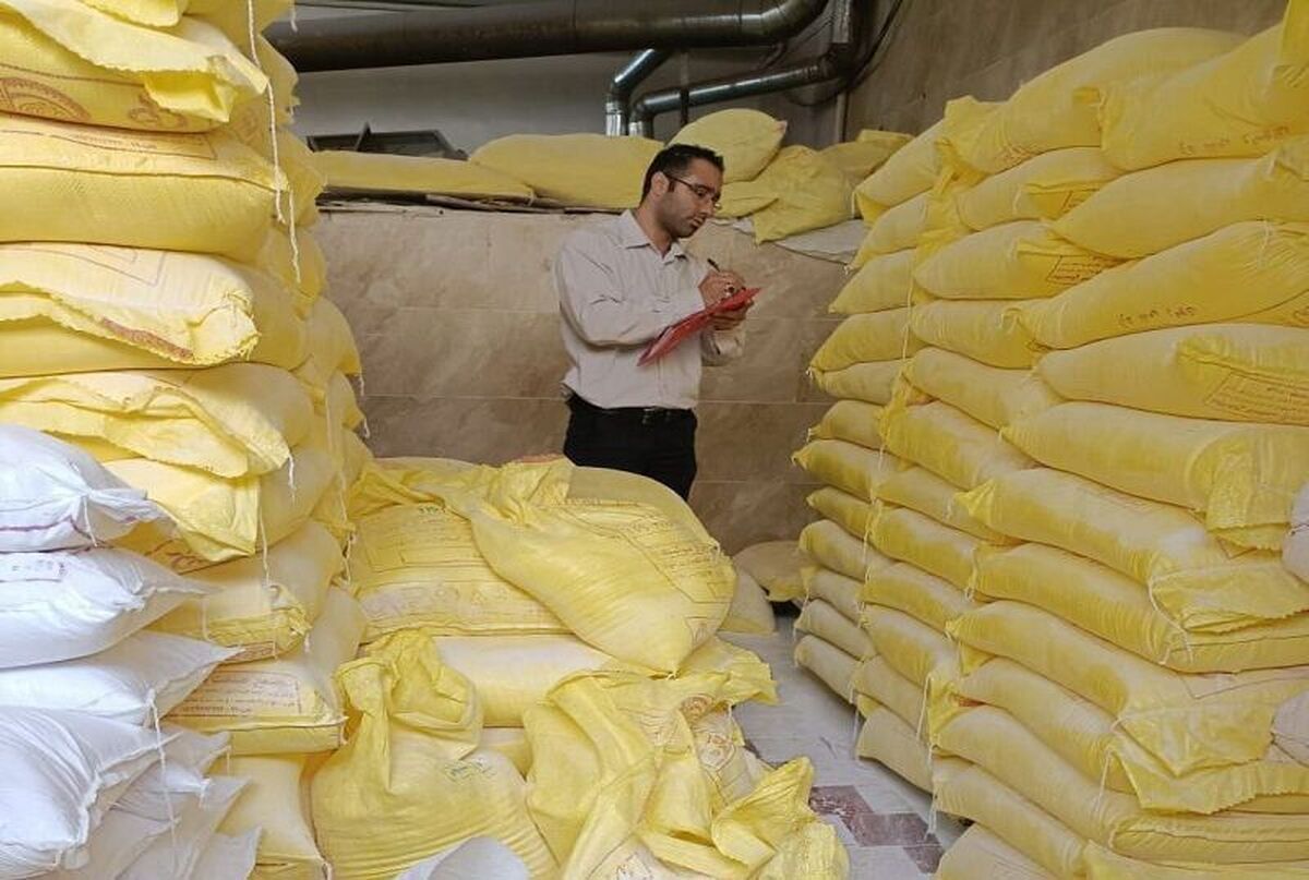 تشکیل ۲۴۱ پرونده تخلف در محصولات کشاورزی مشهد