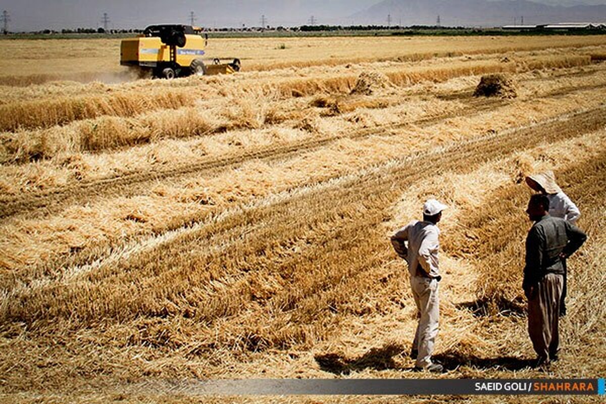مدیرگروه خدمات بیمه محصولات بانک کشاورزی خراسان‌رضوی گفت: ۵۷۸ میلیاردریال غرامت به خسارت‌دیدگان کشاورزی استان در زیر بخش زراعی و گندم آبی واریز شده است.
