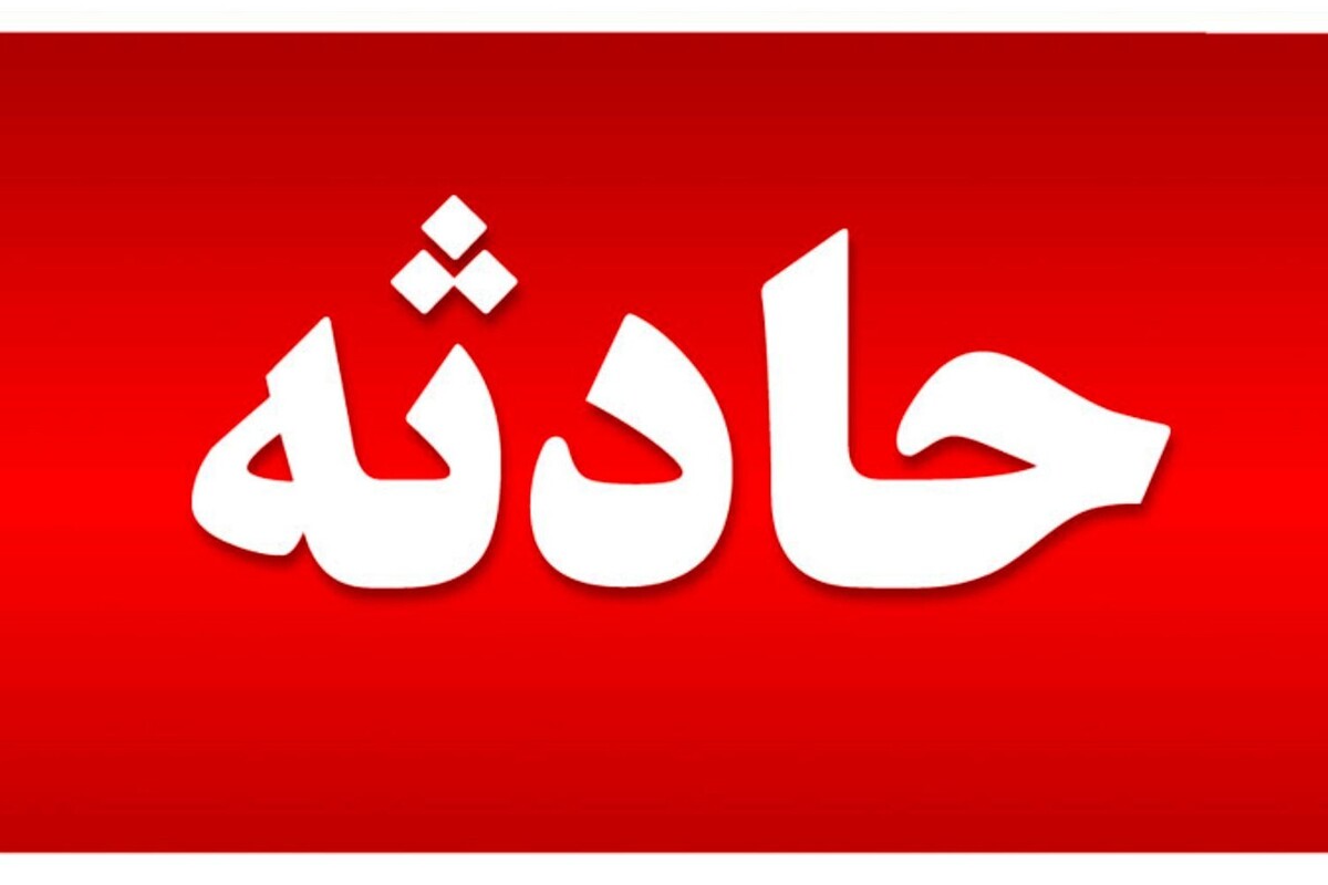 رییس اداره اطلاع‌رسانی فرماندهی انتظامی شرق استان تهران گفت: خطای سهوی سرباز وظیفه در کلانتری پاکدشت منجر به فوت یکی از کارکنان انتظامی و سرباز وظیفه در این شهرستان شد.