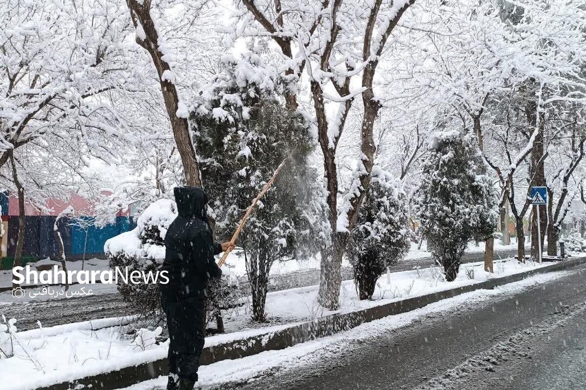 مدیرکل بهبود محیط زیست شهری شهرداری مشهد گفت: با توجه به حجم زیاد بارش برف، باغبانان مشهدی در حال برف‌تکانی درختان سطح شهر هستند.