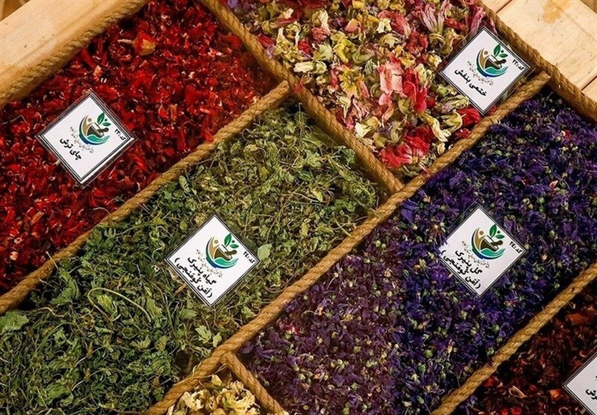 مدیرکل دفتر امور مراتع سازمان منابع‌طبیعی و آبخیزداری کشور گفت: تاکنون حدود ۸۶۰۰ گونه گیاهی در ایران شناسایی شده که ۲۳۰۰ گونه آن دارویی است و به صورت مستقیم در حوزه دارویی، بهداشتی و مکمل‌های غذایی کاربرد دارد.