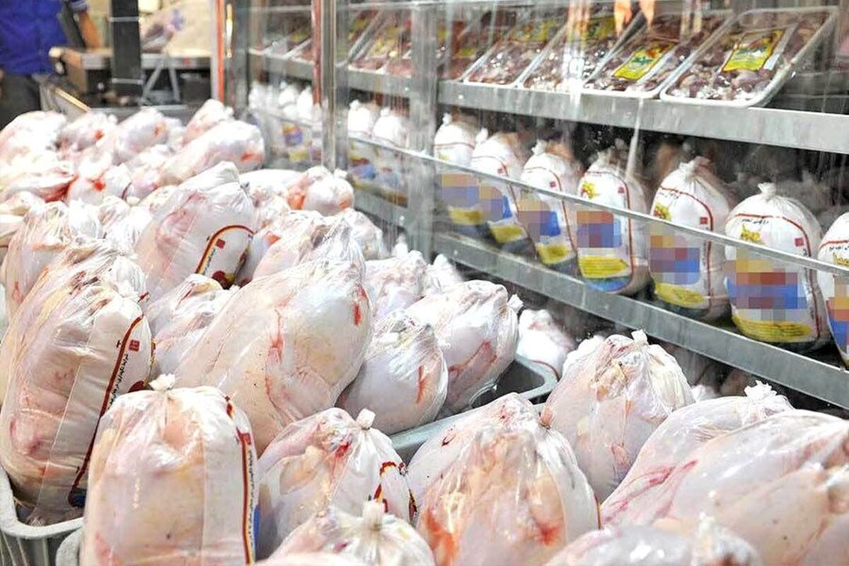 قیمت مرغ در بازار امروز، چند؟ (۴ بهمن ۱۴۰۲)