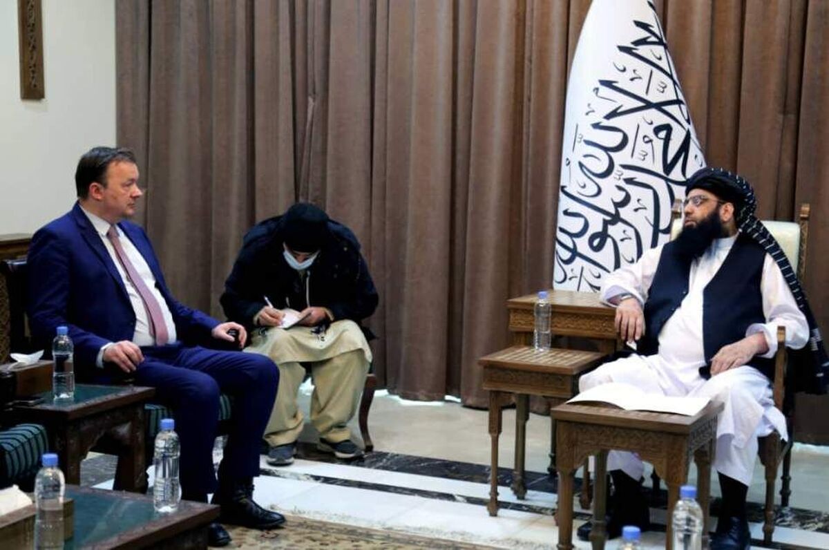 معاون سیاسی نخست وزیر طالبان گفت: رهبر طالبان دستور تشکیل یک کمیته ویژه برای آموزش دختران را صادر کرده است.
