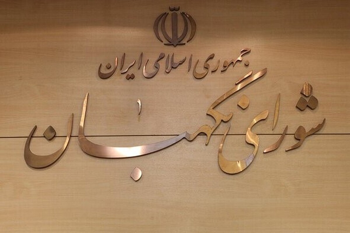 سخنگوی شورای نگهبان درباره این‌که چرا شورا نمی‌تواند دلایل رد صلاحیت افراد را منتشر کند توضیح داد.