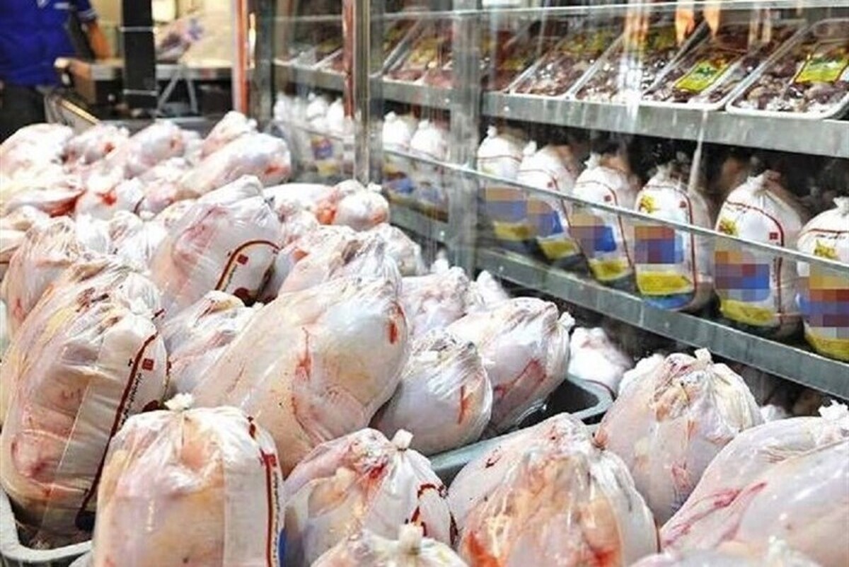 رئیس اتحادیه پرنده و ماهی گفت: با توجه به نوسان قیمت گوشت قرمز و افزایش تقاضا برای خرید مرغ، حداکثر نیاز روزانه کشور به ۸ هزار تن رسیده است.