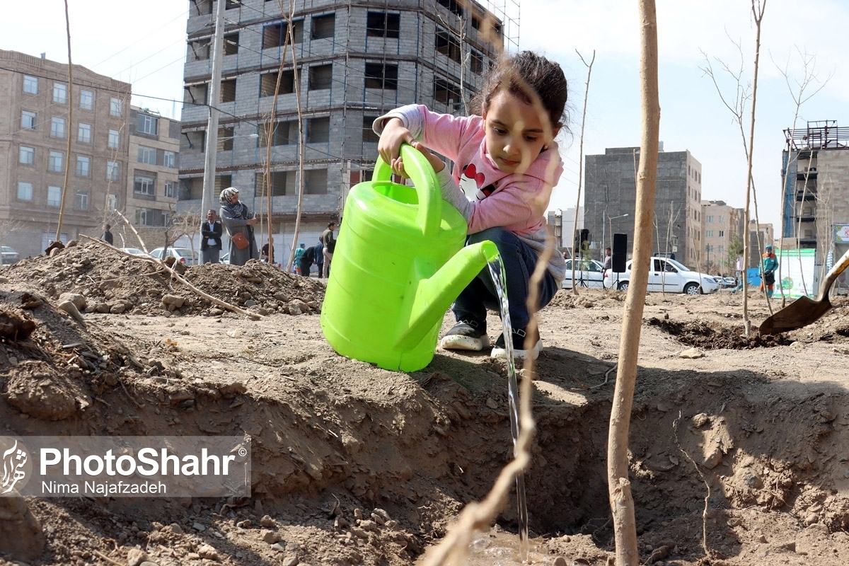 معاون محیط زیست و خدمات شهری شهرداری مشهد گفت: امسال درختان مثمر برای داخل منازل در نظر گرفتیم. ۶۳ هزار انواع درختان مثمر را انتخاب و با شورای اجتماعی محلات ۴۴ محله حاشیه شهر غرس می‌شود.