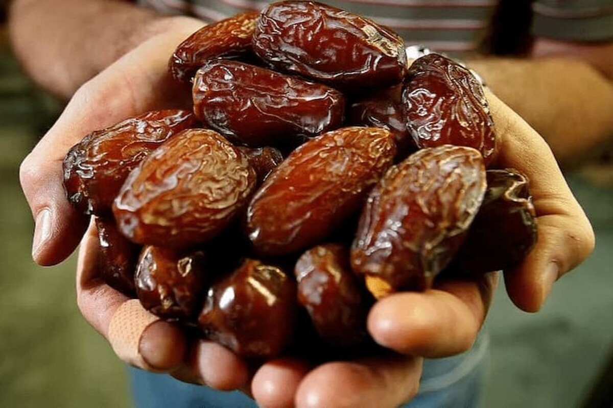 با وجود اینکه برخی رسانه‌ها، مسئولان و فعالان حوزه بازار خبر از حذف عوارض ۵۰ درصدی خرما را می‌دهند، اما هنوز بخشنامه رسمی در این خصوص از طرف نهاد‌های مربوطه منتشر نشده است.