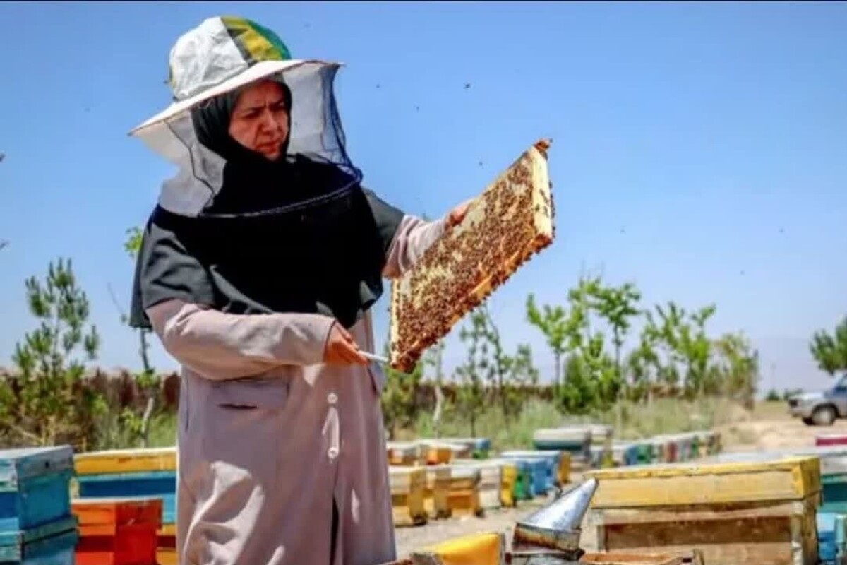 زندگی با زنبور عسل، از کودکی در زندگی سیده فاطمه حسینی جریان داشته است. ۴۰ سال پیش، با یک کندو در حیاط خانه، کار را شروع می‌کند و این یک کندو به ۲۰۰۰ عدد می‌رسد.