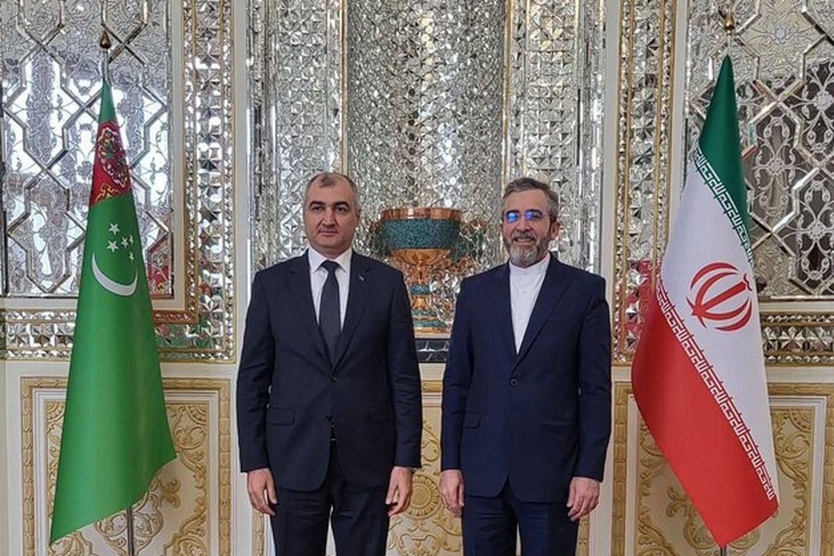 معاون وزیرخارجه ترکمنستان که به تهران سفر کرده است با علی باقری معاون سیاسی وزیر امور خارجه جمهوری اسلامی ایران دیدار و رایزنی کرد.
