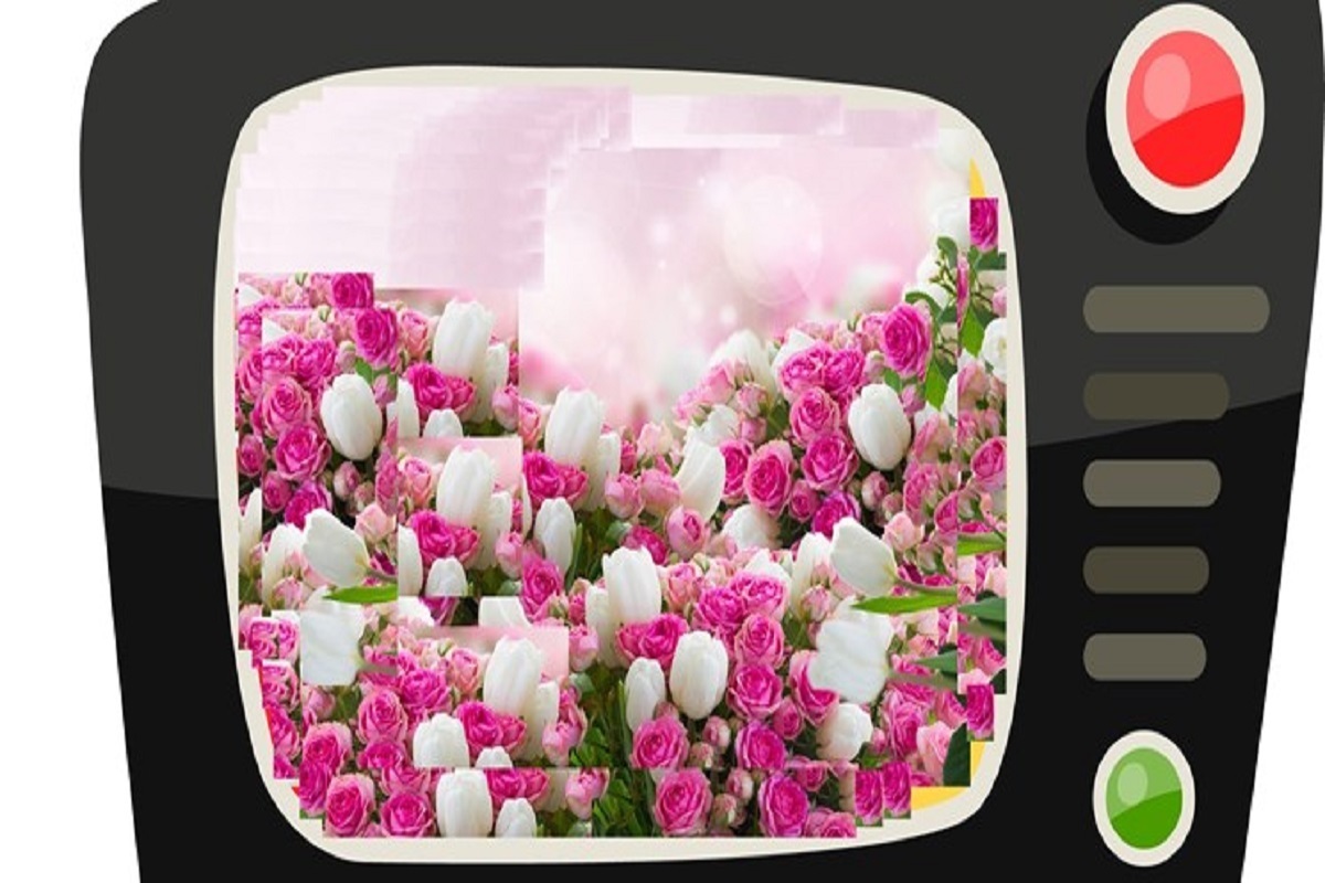 همزمان با نیمه شعبان رسانه ملی برنامه‌های ویژه‌ای تدارک دیده است.