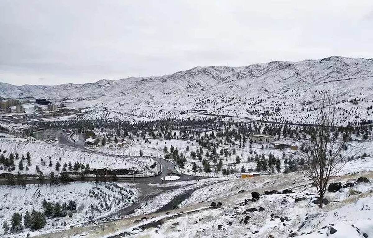 از شب گذشته ریزش برف در مشهد آغاز شد و صبح امروز دوشنبه ۷ اسفند ۱۴۰۲ وقتی ساکنان شهر بهشت از خواب بیدار شدند، با مشهدی سفید روبرو شدند.
برف همه جا را پوشانده بود و زمستان سرمای  خود را به رخ مردم کشید.