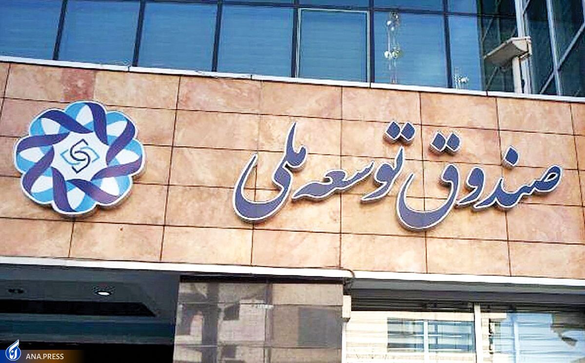 مدیر عامل صندوق توسعه ملی با انتقاد از نگاهی که به این صندوق وجود دارد، اعلام کرد که اگر استهلاک منابع ادامه پیدا کند صندوق توسعه ملی از بین می‌رود.