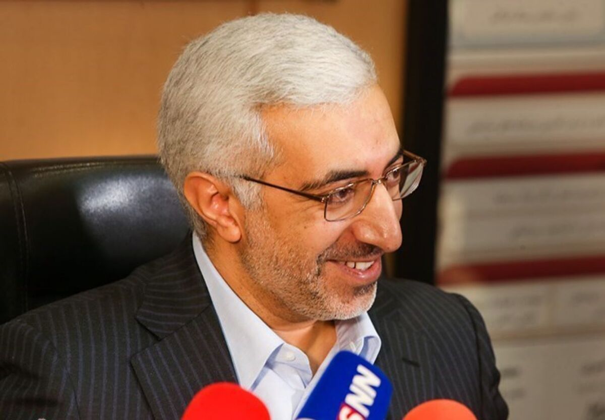 رئیس سازمان بورس و اوراق بهادار ایران ریزش اخیر بازار سرمایه را طبیعت این بازار خواند و گفت: اصلاح اخیر (در بازار بورس) منجر به تخلیه هیجان‌ها شد.