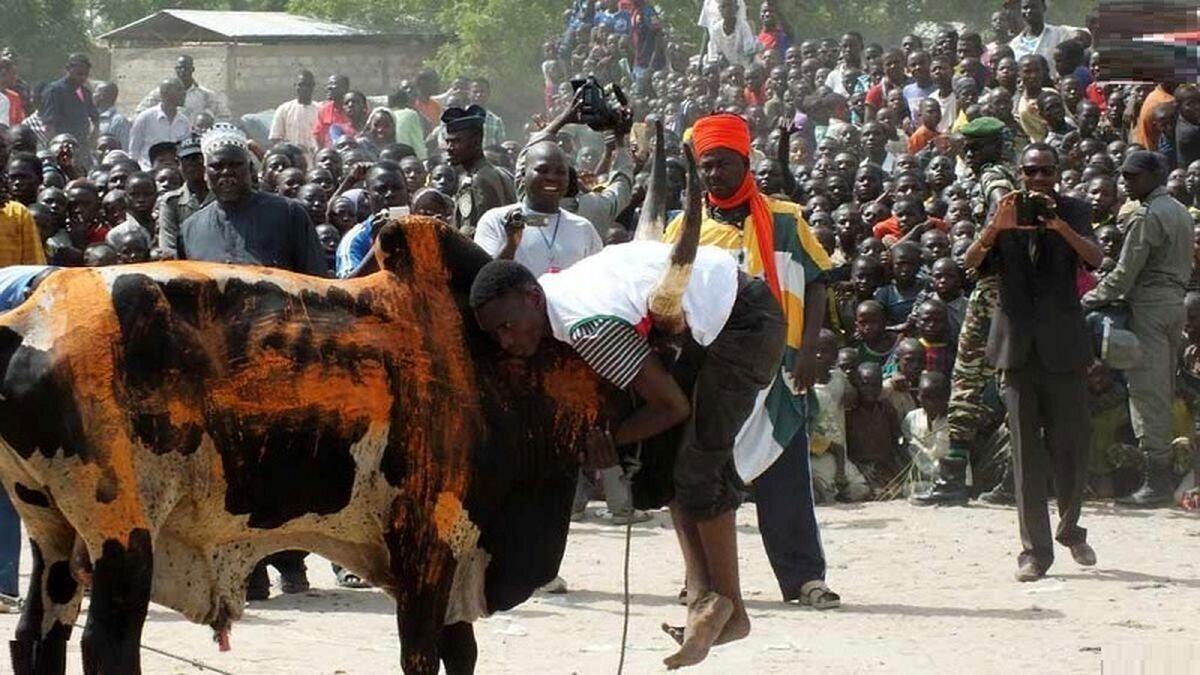 عجیب‌ترین و خطرناک‌ترین ورزش جهان را که در میان قبایل هاوسا در قاره آفریقا رواج دارد را تماشا کنید.