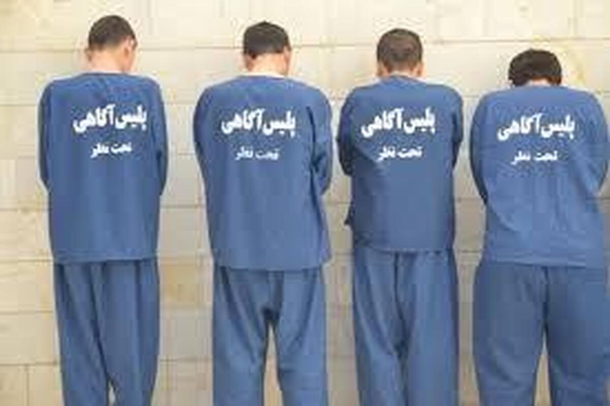 صداوسیما گزارشی از دستگیری چند سارق منزل پخش کرده است که در آن نشان می‌دهد مردم در خانه‌های خود ارز و سکه نگه‌داری می‌کنند، در یکی از منازل ۳.۵ میلیارد تومان ارز و سکه موجود بوده است.
