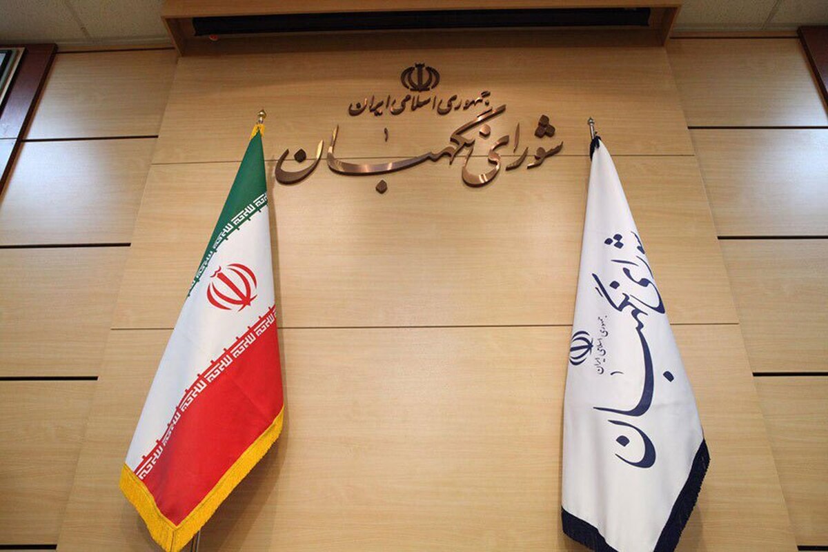 سخنگوی شورای نگهبان در نود و چهارمین گزارش خود به مردم، ابهامات این شورا به طرح حمایت از گزارشگران فساد را تشریح کرد.
