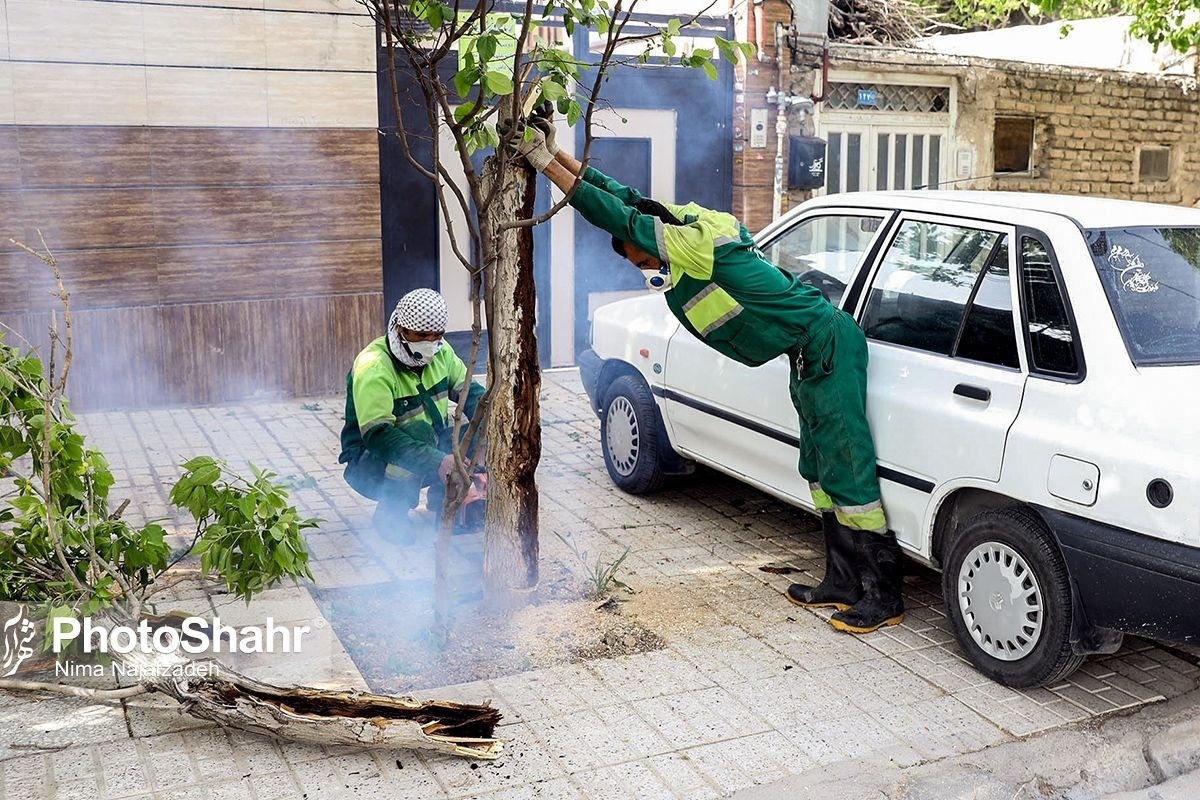 کارشناس مرکز پیش‌بینی هواشناسی خراسان رضوی با اشاره به وزش باد شدید در سطح استان، گفت: از ساعات بعدازظهر امروز برمیزان ابرناکی افزوده خواهد شد و در مناطقی از غرب استان احتمال بارش‌های رگباری باران همراه با رعد و برق وجود دارد. از پنج‌شنبه انتظار داریم بر گستره بارش‌ها در سطح استان افزوده شود. 