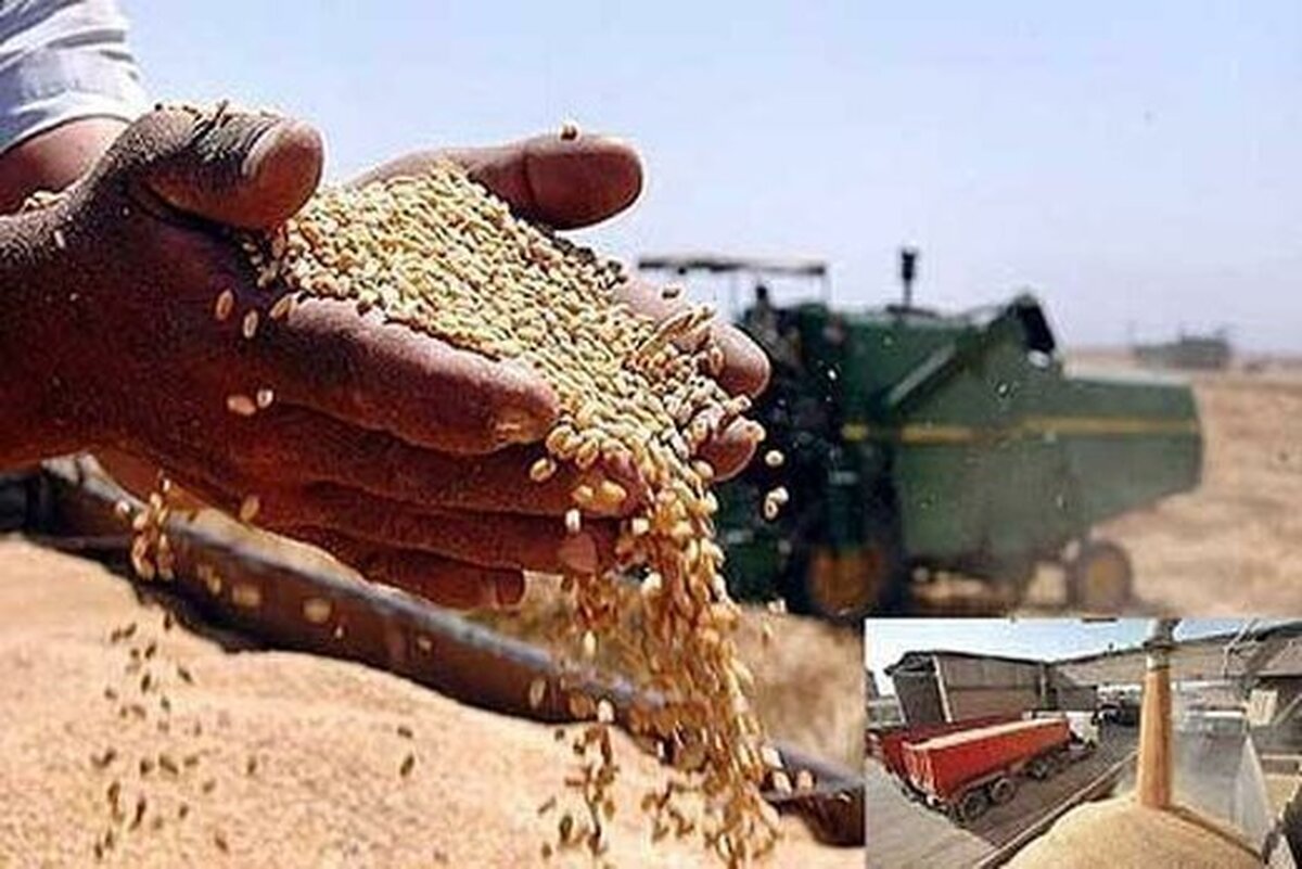 رئیس اتاق اصناف کشاورزی گفت: امروز در شورای قیمت‌گذاری برای قیمت گندم تصمیم‌گیری شد و قیمت نهایی به زودی توسط وزیر جهادکشاورزی اعلام خواهد شد.