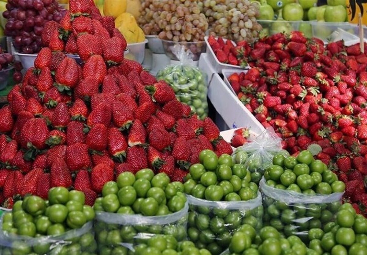 رئیس اتحادیه میوه و تره‌بار مشهد از افزایش ۲۰ درصدی قیمت میوه‌های نوبرانه نسبت به سال گذشته خبر داد.
