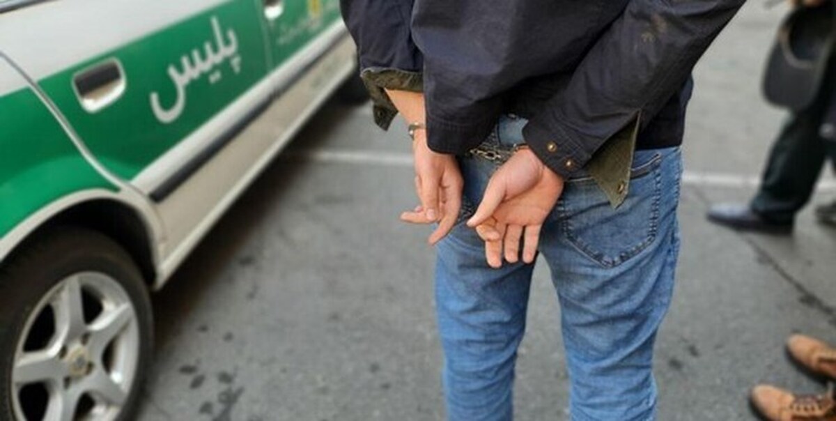 دادستان عمومی و انقلاب شهرستان دماوند از دستگیری فرد متخلف حیوان‌آزار این شهرستان خبر داد.