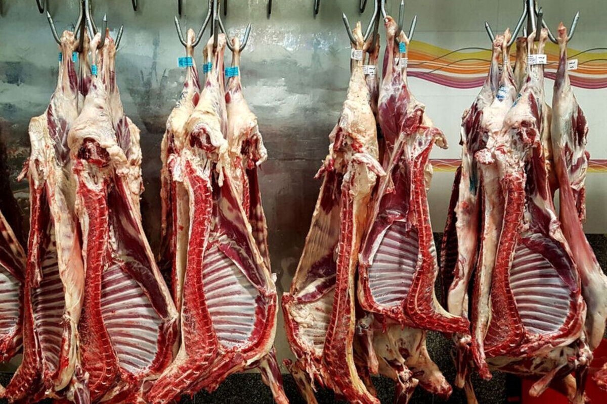 رئیس اتحادیه گوشت گوسفندی گفت: باتوجه به شرایط تورمی فعلی افزایش قیمت گوشت بر روی تقاضا تاثیر گذاشته‌است و می‌توان گفت فروش مغازه‌داران نزدیک به ۳۰ درصد کاهش یافته‌است.