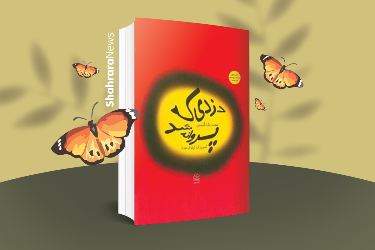 معرفی کتاب نوجوان | دزدی که پروانه شد