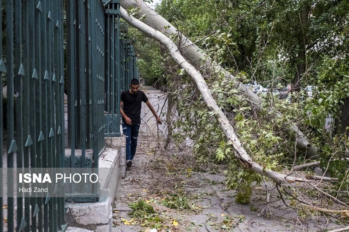 وزش باد شدید در تهران، امروز خسارت‌های زیادی را به همراه داشت. افتادن درختان روی خودرو‌ها و البته مصدومیت ۹ نفر از شهروندان بر اثر اصابت اشیا سرگردان در باد بخشی از اتفاقات امروز در تهران بود.
