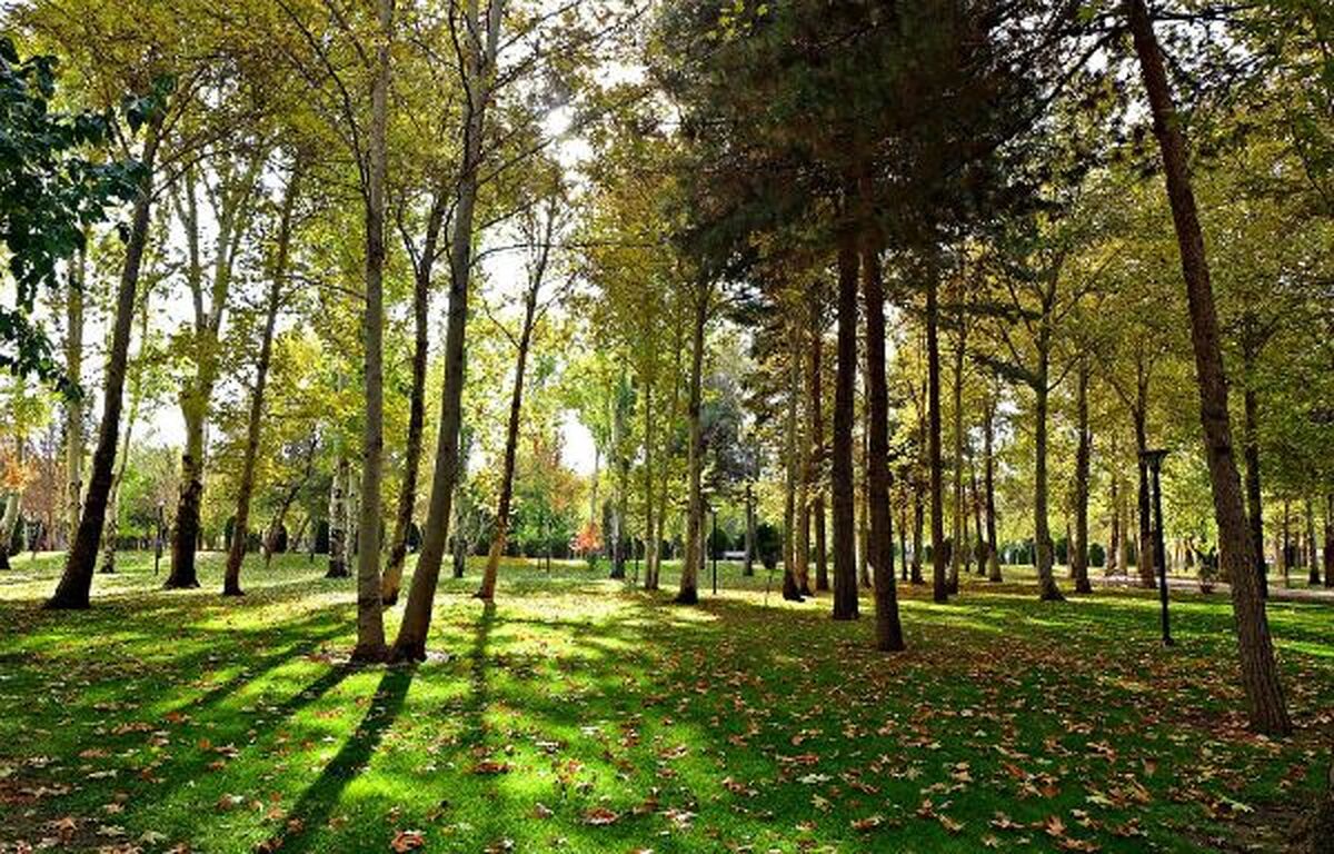 مدیر کل بهبود محیط زیست شهری شهرداری مشهد، از ابلاغ تقویم باغبانی تابستانه شهر مشهد به مناطق سیزده‌گانه، با هدف نگهداری و حفاظت از فضای سبز شهری خبر داد.