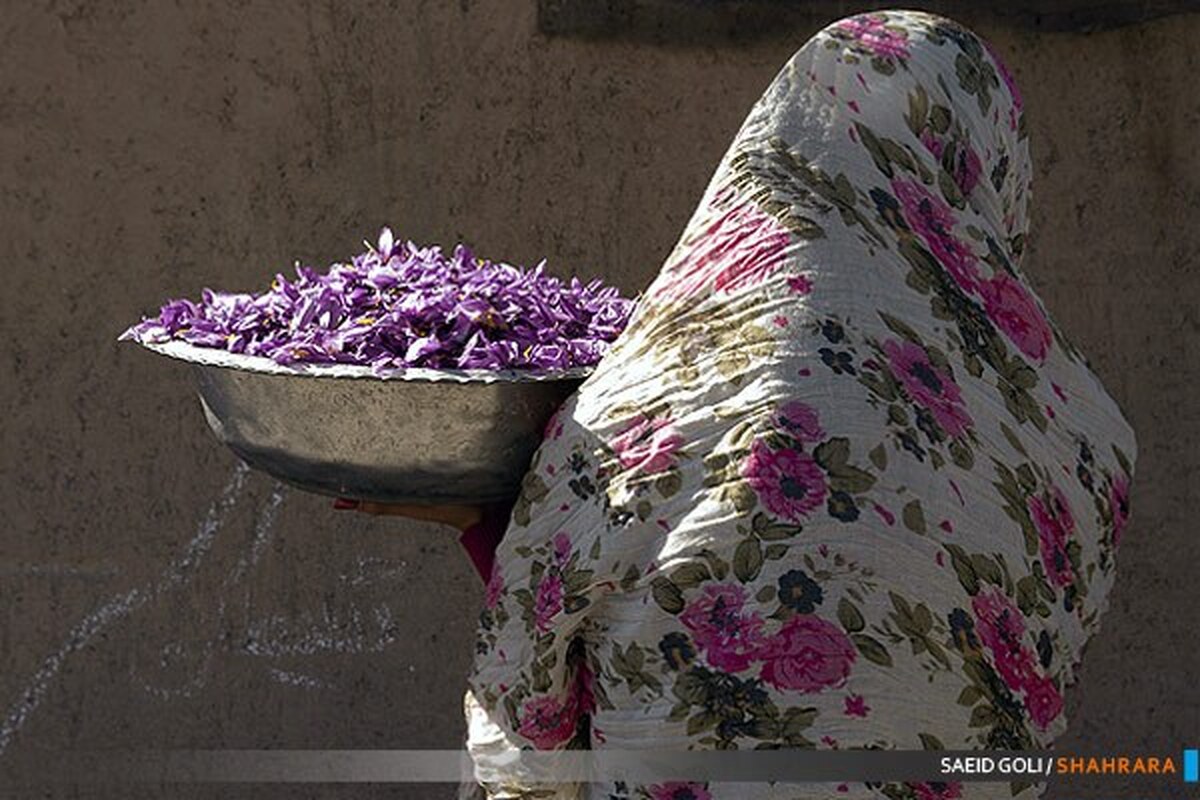 نایب رئیس شورای ملی زعفران گفت: علی رغم اینکه بازار هدف صادرات زعفران در سال ۱۴۰۱ افزایش یافته است، اما شاهد کاهش صادرات آن بودیم که علت آن باید کارشناسی شود.