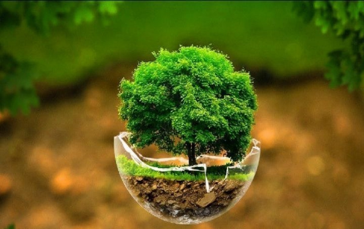 هر یک از ما می‌توانیم برای حفاظت از محیط زیست گام‌های کوچکی برداریم؛ همین اقدامات به‌ظاهر ساده می‌تواند بسیار تاثیرگذار برای کمک به محیط زیست باشد.