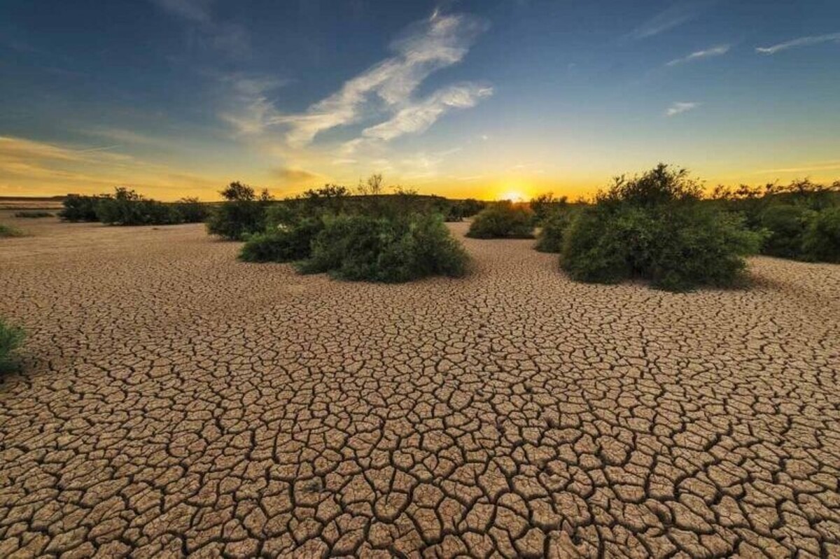 ۵۶‌ میلیارد تومان برای بیابان‌زدایی در خراسان‌رضوی تخصیص یافته اما این رقم، کفاف احیای کانون‌های بحرانی را نمی‌دهد.