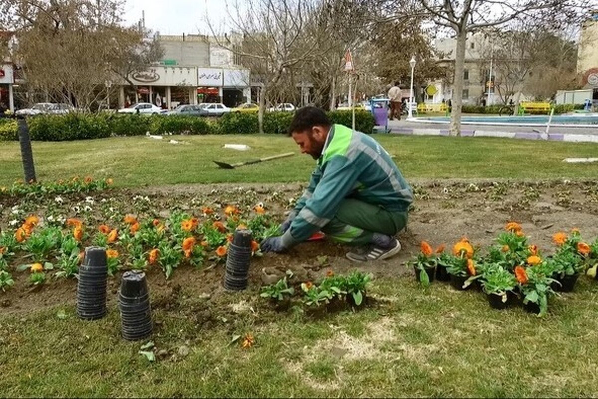 معاون محیط زیست و خدمات شهری شهرداری مشهد، از تغییر تدریجی الگوی کاشت فضای سبز و ورود گونه‌های گیاهی جدید و مناسب با اقلیم مشهد طی ۱۵ سال اخیر در طرح‌های توسعه فضای شهری خبر داد.