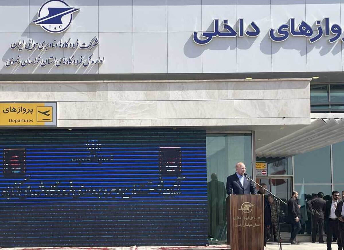 رئیس مجلس شورای اسلامی گفت: قول می‌دهیم در یک برنامه ۵ ساله به ثبات اقتصادی برسیم و بر گرانی و تورم غلبه پیدا کنیم چرا که مسیر الان درست نیست.