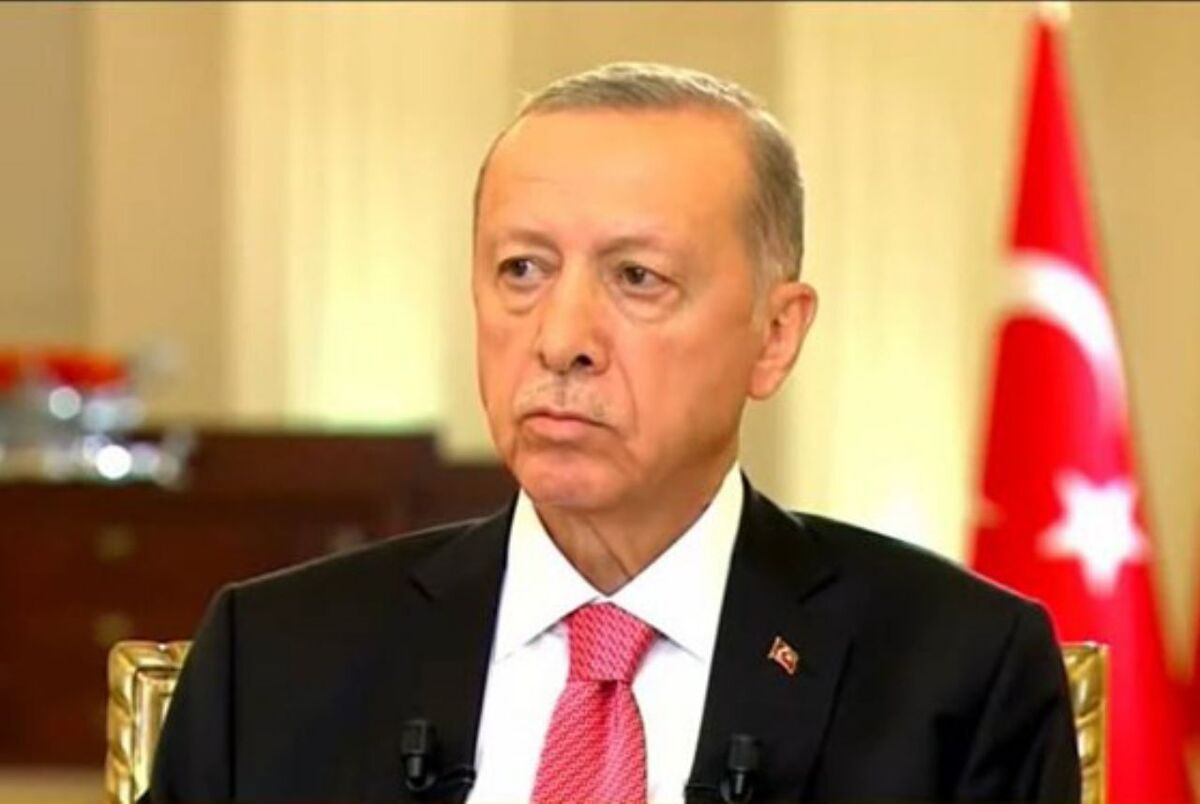 رئیس‌جمهور اردوغان در صفحه توئیتر خود در پاسخ به مخالفان داخلی و رسانه‌های غربی، انتخابات اخیر را نشانه وجود دموکراسی در ترکیه دانست.