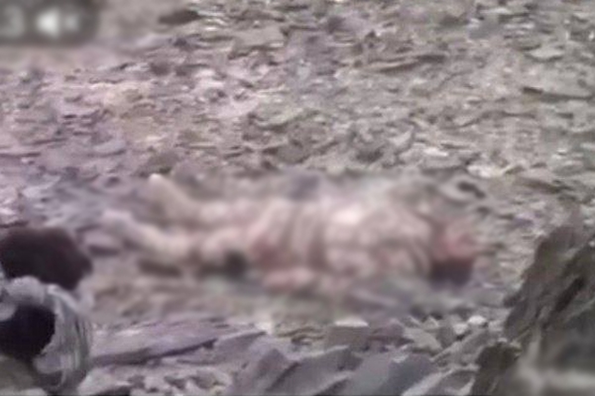 روز گذشته فیلمی از لحظه شهادت یکی از مرزبانان در مرز ایران و افغانستان منتشر شد اما حالا خبر می‌رسد که این فیلم مربوط به درگیری‌ مرزی با طالبان نیست.
