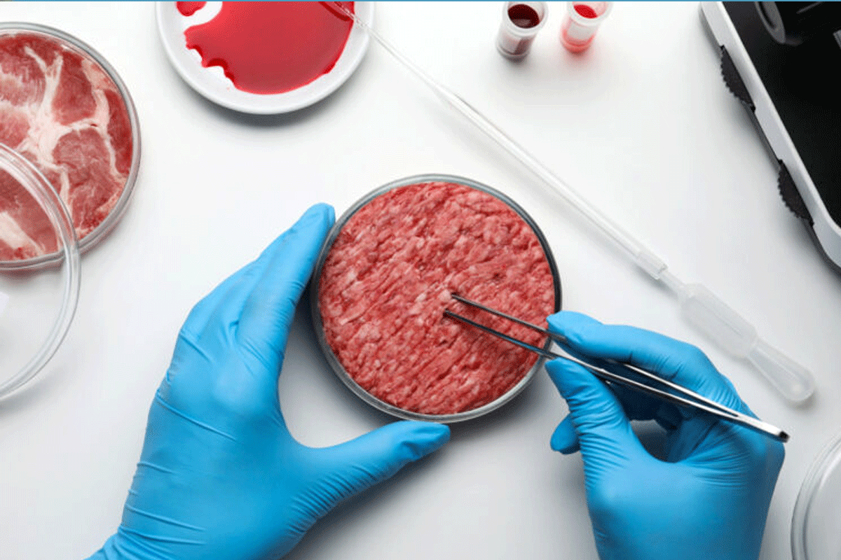 دو شرکت Upside Foods و Good Meat اعلام کردند که مجوز نهایی وزارت کشاورزی ایالات متحده برای فروش گوشت تولیدشده در آزمایشگاه را دریافت کرده‌اند.