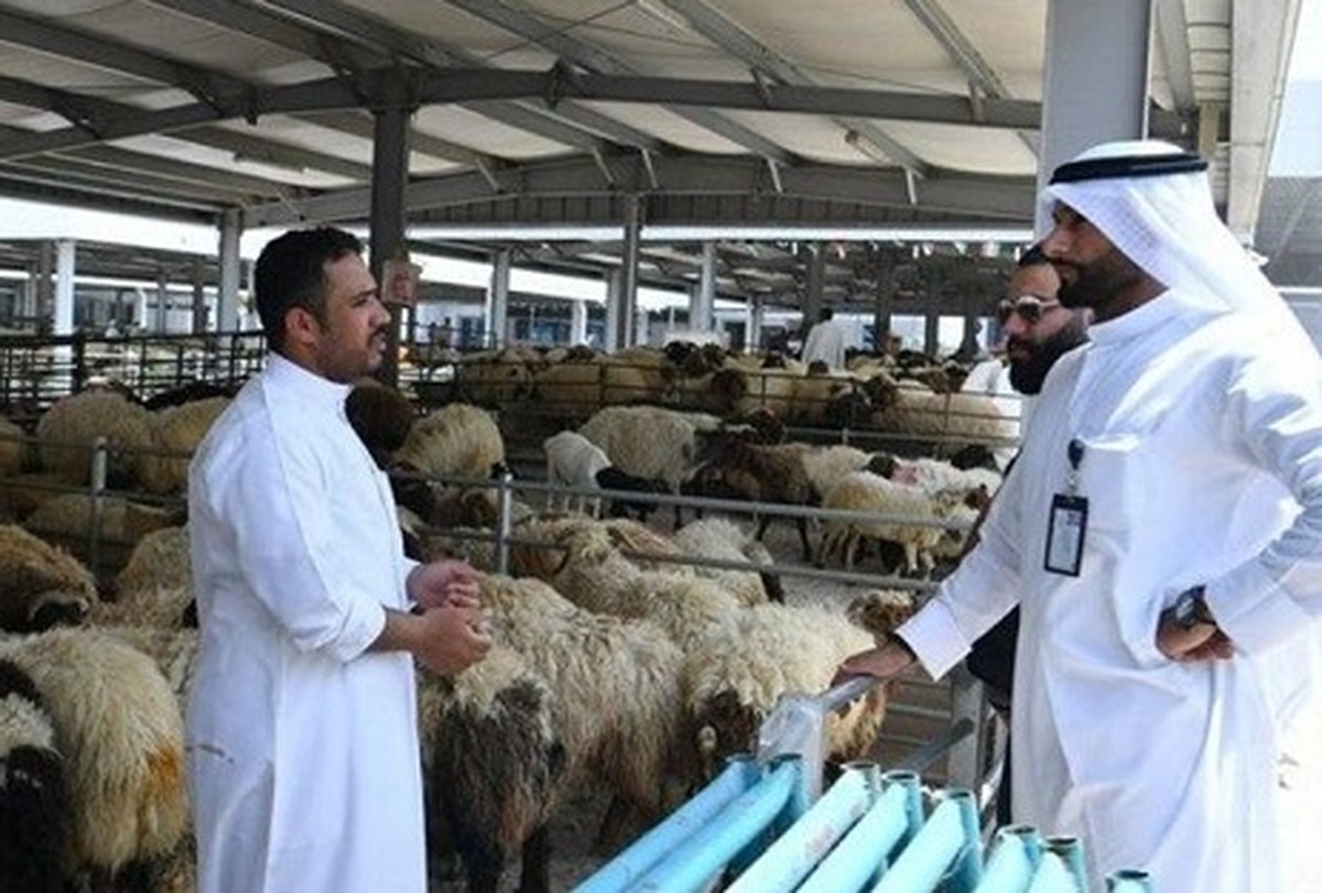 طی دو روز گذشته اخباری بدون منبع مبنی بر ارسال گوشت قربانی حج تمتع امسال به کشور منتشر شده بود و برخی رسانه‌ها نیز بدون هرگونه منبع مشخص و مدرک قابل استناد، این خبر کذب را بازنشر کرده بودند.