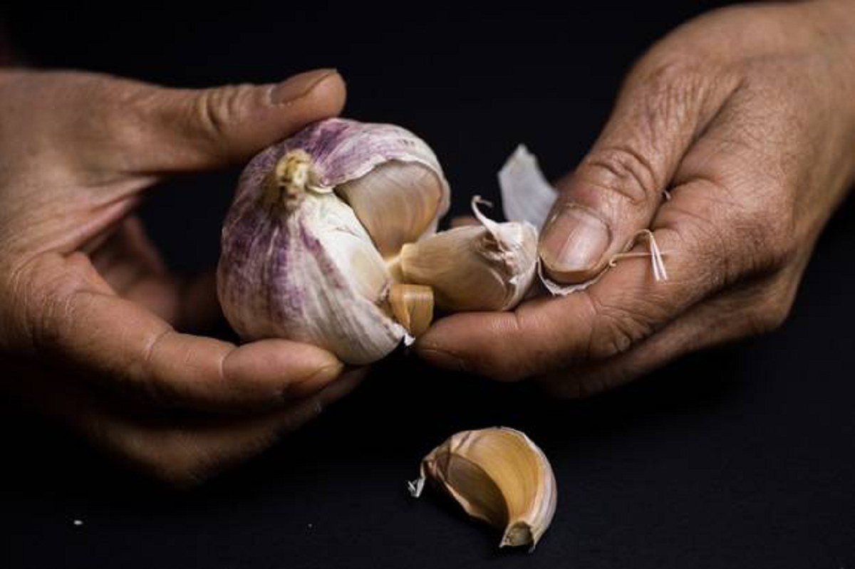 برخی افراد پوست کندن سیر برایشان کار سختی است، اما چند ترفند جالب وجود دارد که به راحتی می‌توانند پوست سیر را جدا و از آن استفاده کنند.