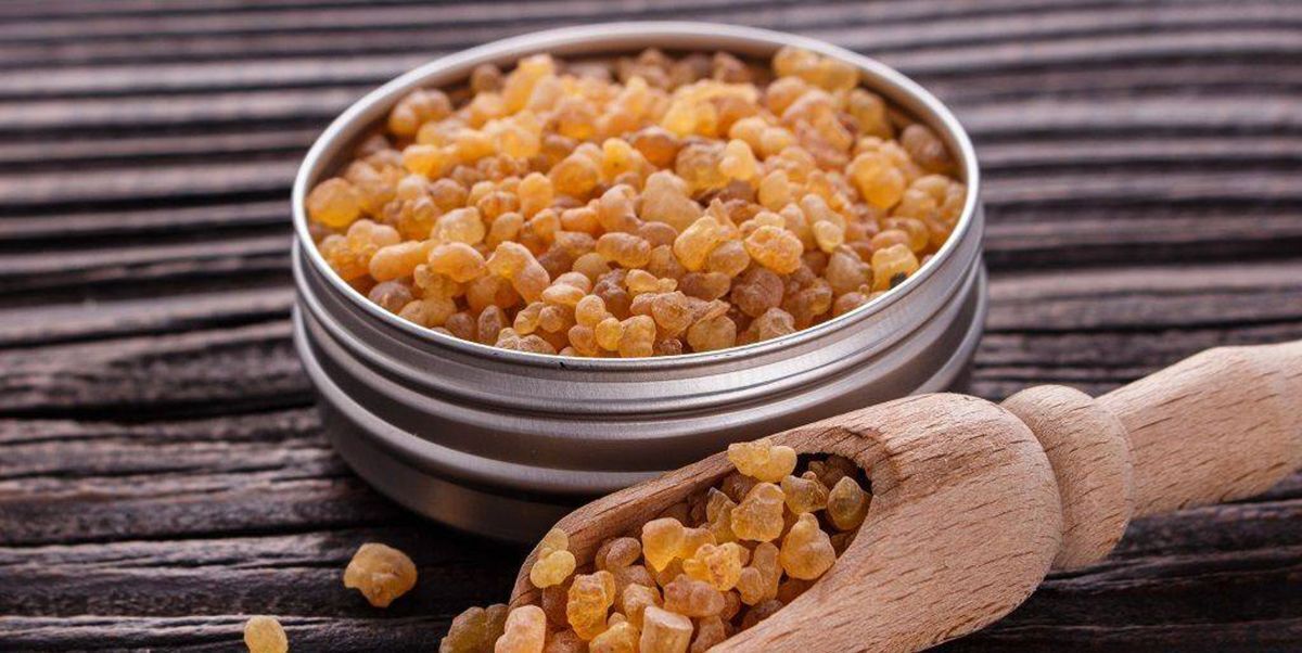 کندر یکی از گیاهان دارویی است که در طب سنتی به آن اشاره می‌شود، اما ممکن است بسیاری از افراد نام آن را نشنیده باشند و یا هیچ اطلاعاتی از این داروی گیاهی ارزشمند نداشته باشند.