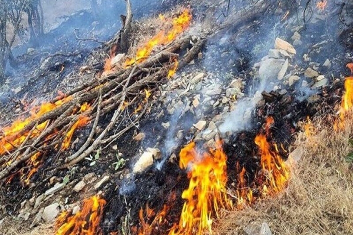 رئیس اداره پارک ملی تندوره درگز گفت: سهل انگاری گردشگران موجب آتش سوزی در پنج هکتار از پوشش مرتعی محدوده تیوان در حاشیه پارک ملی تندوره در این شهرستان شد.