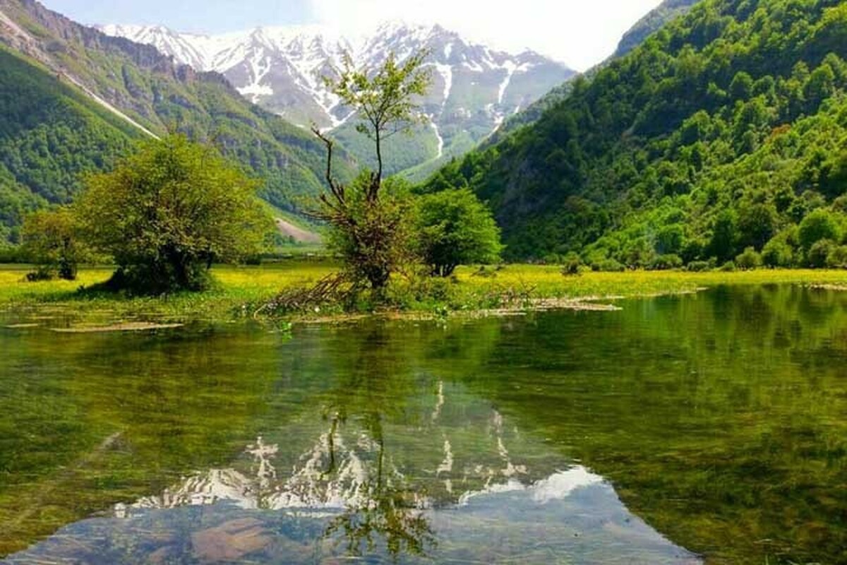 ویدئویی از طبیعت زیبای دشت دریاسر در تنکابن استان مازندران را مشاهده می‌کنید.