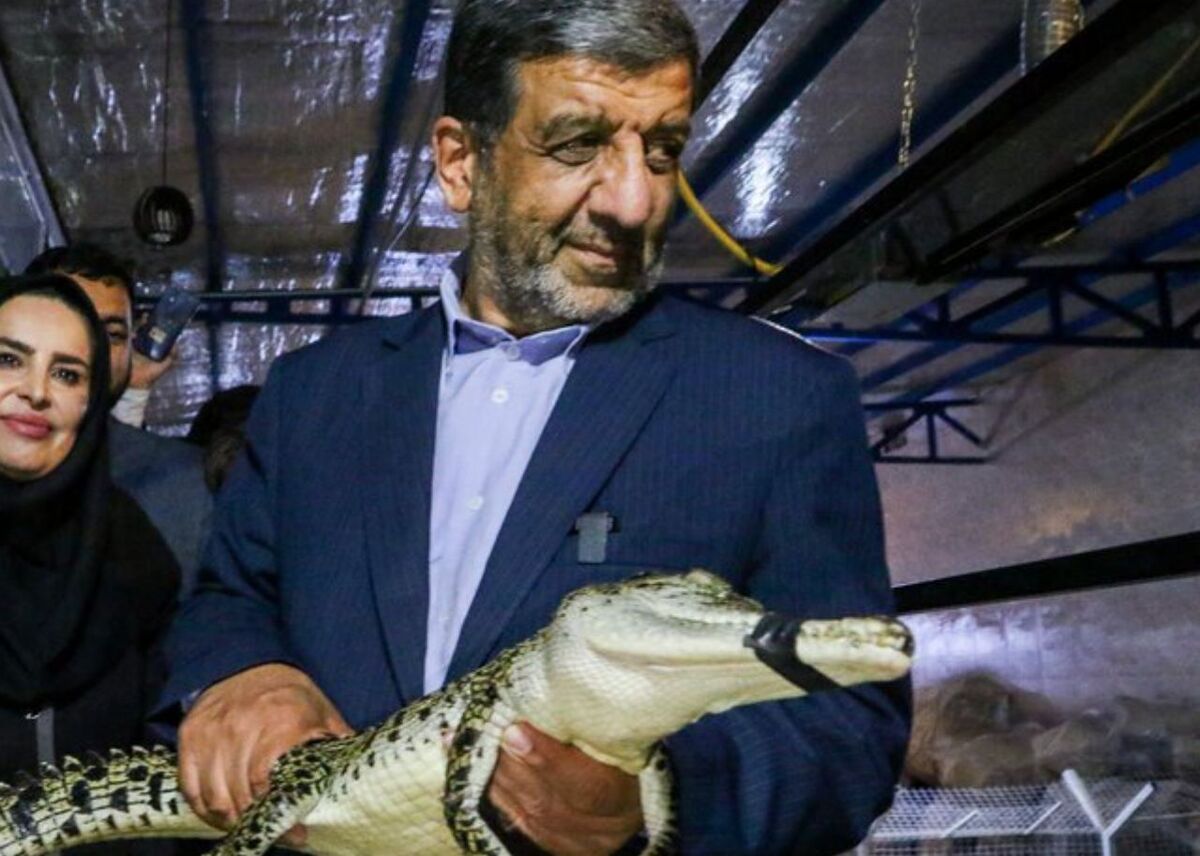وزیر میراث فرهنگی پس از بازدید از پارک کروکودیل‌ها در مشهد، یک کروکودیل را در آغوش گرفت.