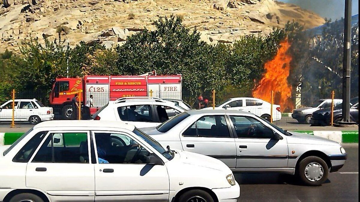 مدیر روابط عمومی آتش نشانی مشهد گفت: در بزرگراه کلانتری چندین درخت دچار آتش سوزی شدند که با عملیات به موقع نیرو‌های آتش نشانی، اطفاء کامل حریق صورت گرفت.