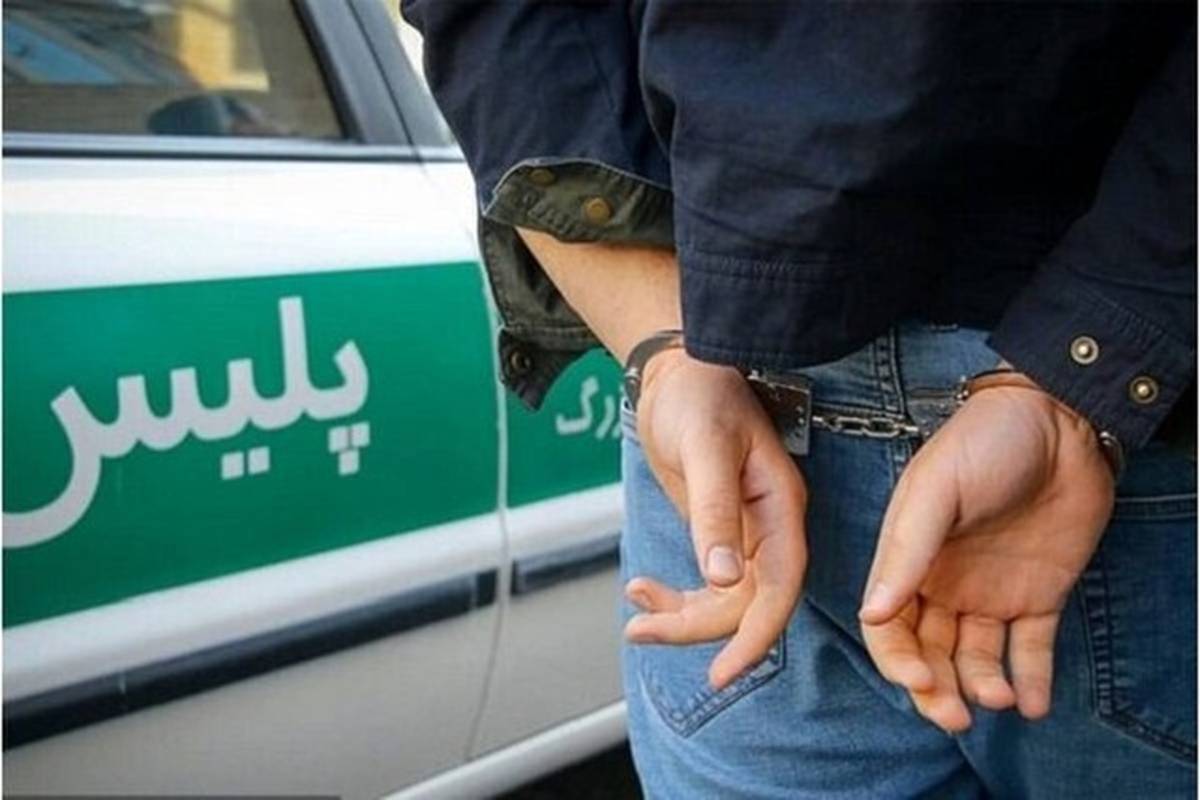 فرمانده انتظامی مشهد گفت: پلیس مبارزه با مواد مخدر، مالخر حرفه‌ای گوشی‌های آیفون سرقتی را دستگیر کرد، این مالخر گوشی‌های سرقتی را با ماده مخدر شیشه تهاتر می‌کرد.