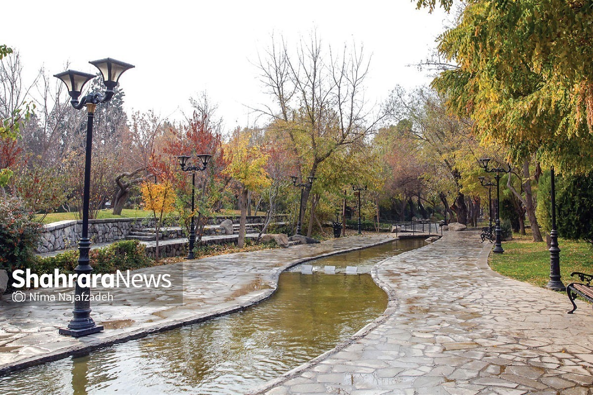 موضوع «دسترسی» برای بانوان مسئله بسیار مهمی است در حالیکه بیشتر پارک‌های بانوان مشهد دور از ایستگاه‌های حمل‌ونقل عمومی و عموما در میان بزرگراه‌های اصلی شهر قرار گرفته‌اند.