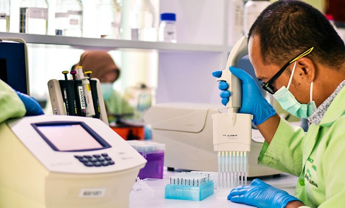 معاون پیشگیری از معلولیت‌های مرکز توسعه پیشگیری و درمان اعتیاد سازمان بهزیستی کشور از ارائه ۱۲۰ هزار مشاوره ژنتیک برای جامعه تحت پوشش و مراجعه‌کنندگان به مراکز مشاوره طی سال گذشته خبر داد.