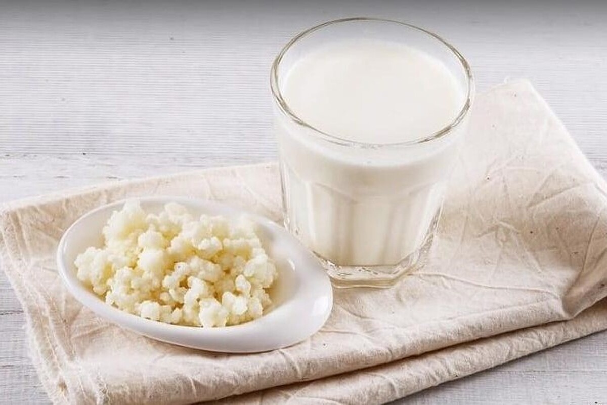 کِفیر نوعی نوشیدنی و شبیه به دوغ محلی است. در این مطلب شما را با چیستی کفیر، خواص و طرز تهیه آن آشنا می‌کنیم.