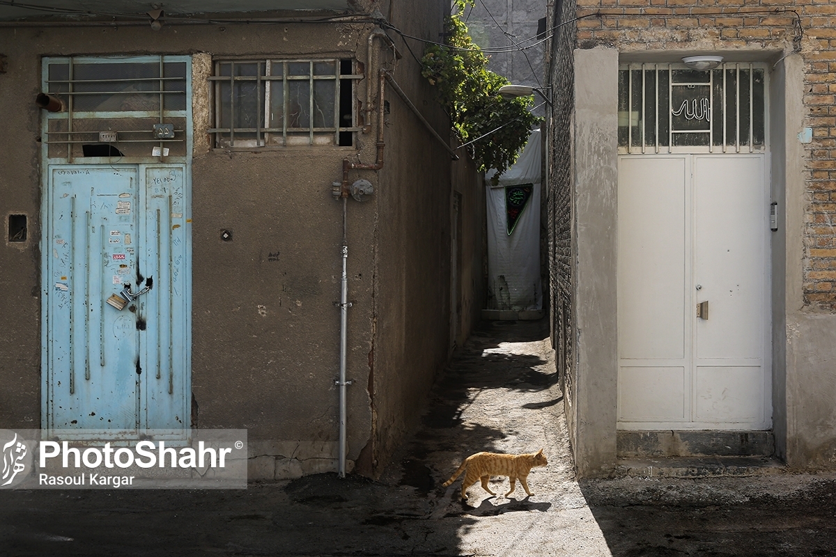 سازمان اوقاف در راستای حمایت از بازسازی و نوسازی املاک وقفی واقع در بافت‌های فرسوده و غیر رسمی، با معافیت مستأجران عرصه‌های مسکونی دارای حق تملک اعیان در محدوده مذکور از پرداخت پذیره حق تجمیع، پذیره حق تفکیک و پذیره قدر السهم عرصه از طبقات تشویقی اعطایی از سوی شهرداری‌ها موافقت کرد.