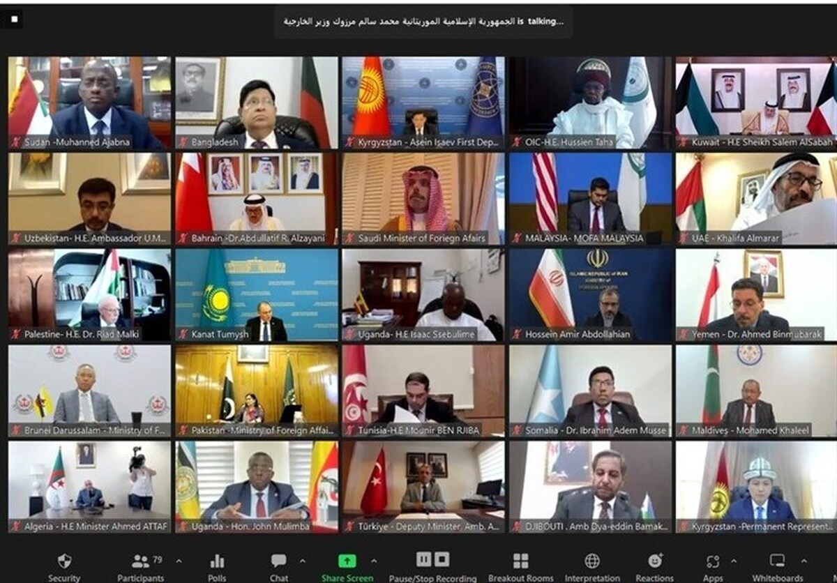 وزرای خارجه کشورهای عضو سازمان همکاری اسلامی مراتب نگرانی شدید خود را از افزایش اقدامات متعصبانه، افراطی، تبعیض آمیز و خشونت در سطح جهان ابراز داشتند.