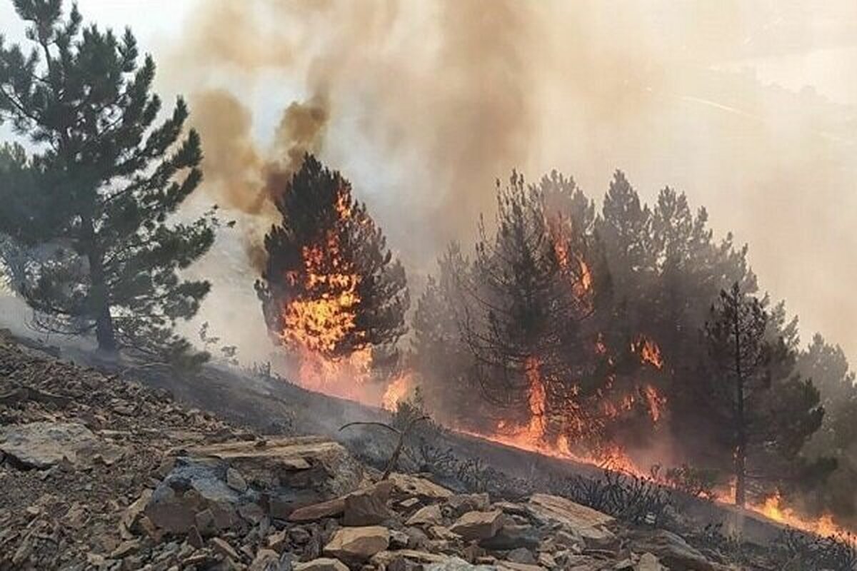 در بخش‌هایی از پارک ملی ساریگل آتش سوزی رخ داده است. این اتفاق در مناطق صعب العبور منطقه افتاده و به همین دلیل هنوز مهار نشده است.